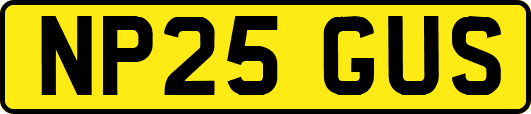 NP25GUS