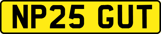 NP25GUT