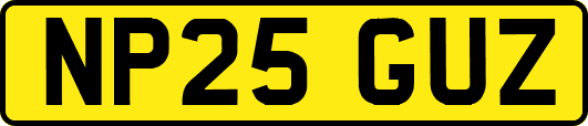 NP25GUZ