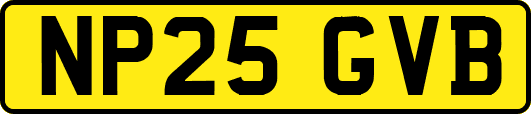 NP25GVB