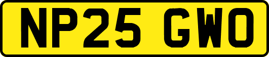 NP25GWO
