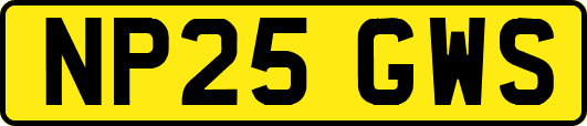NP25GWS