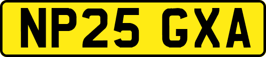 NP25GXA