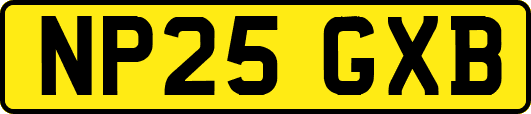 NP25GXB