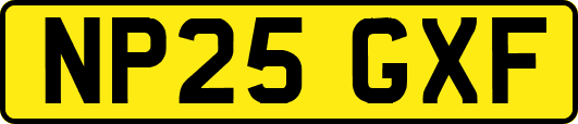 NP25GXF
