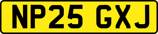 NP25GXJ