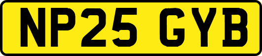 NP25GYB