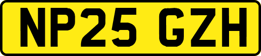 NP25GZH