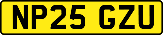 NP25GZU