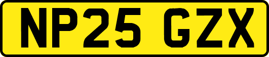 NP25GZX