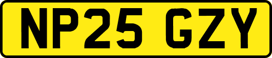 NP25GZY