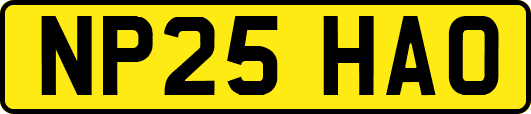 NP25HAO
