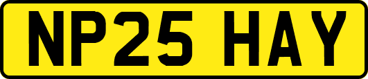 NP25HAY