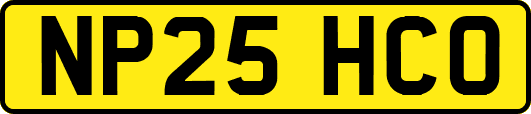 NP25HCO