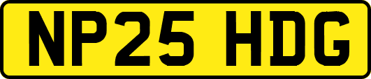 NP25HDG