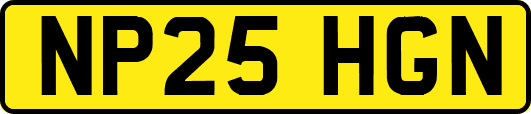 NP25HGN