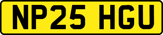 NP25HGU