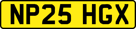 NP25HGX