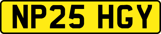 NP25HGY