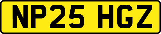 NP25HGZ