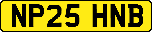 NP25HNB