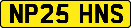 NP25HNS