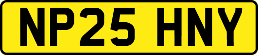 NP25HNY