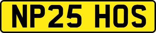 NP25HOS