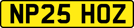 NP25HOZ