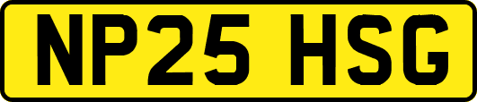 NP25HSG