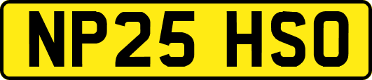 NP25HSO