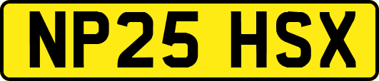 NP25HSX