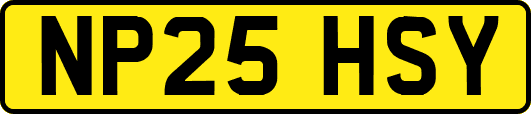NP25HSY