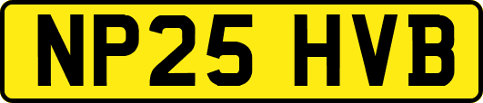 NP25HVB