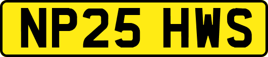 NP25HWS