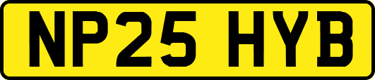 NP25HYB