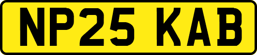 NP25KAB
