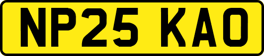 NP25KAO