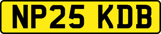 NP25KDB