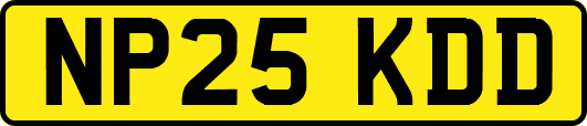 NP25KDD