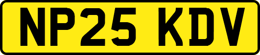 NP25KDV