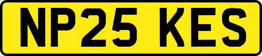 NP25KES