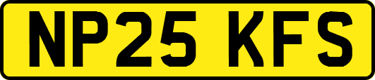 NP25KFS