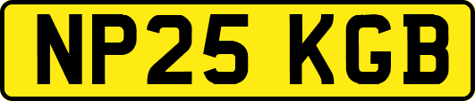 NP25KGB