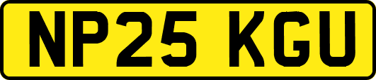 NP25KGU