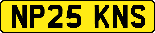 NP25KNS