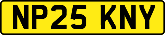 NP25KNY