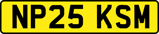NP25KSM