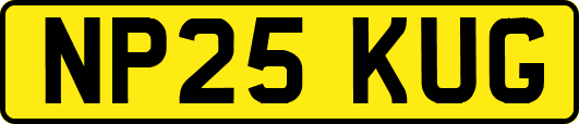 NP25KUG