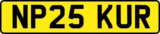 NP25KUR